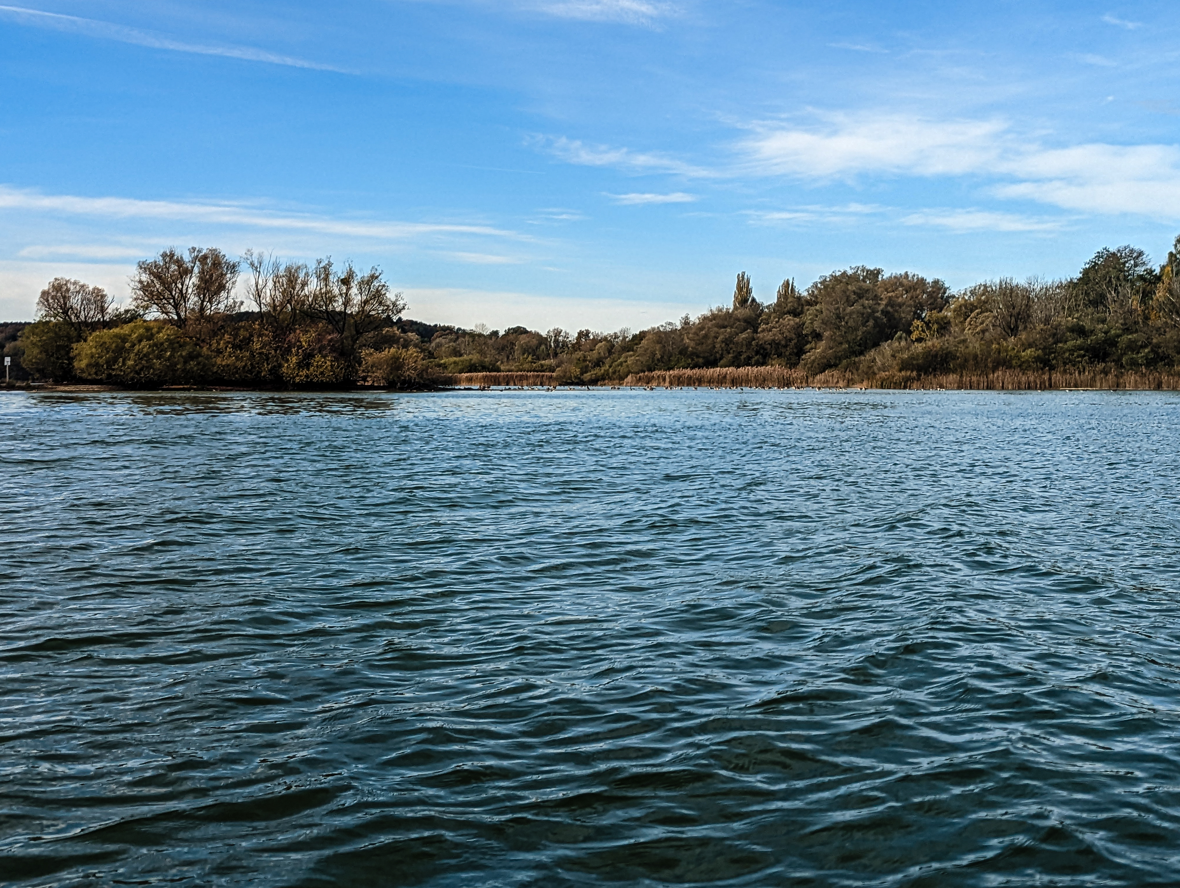 Kajaktour Ammersee Stegen 23.10.2022